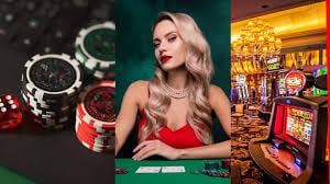 msw casino